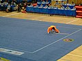 Image 43Modern forms are used in the sport of wushu, as seen in this staff routine (from Chinese martial arts)