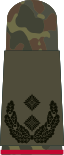 Oberstleutnant i.G. (Gen. staff service)