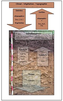 mécanismes de la pédogenèse