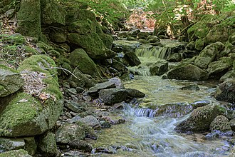 Im Oberlauf hat der Diesenleitenbach den Charakter eines Wildbaches