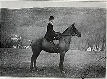 Somerville atop her horse Tarbush