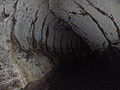 Tunnel di lava sull'isola di Santa Cruz.