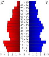 Bevolkingspiramide Vernon County