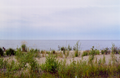 Slave Lake shoreline