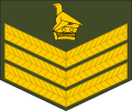 Staff sergeant (Zimbabwe National Army)