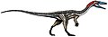 Coelophysis