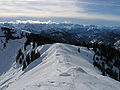 Blick vom Seekarkreuz (1601 m) auf das Karwendel