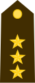 Guatemala (coronel)