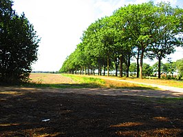 N616 tussen Erp en Gemert bij de overgang Heuvelberg-Gemertsedijk