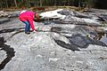 Petroglyphs in Zalavruga, Belomorsk, Karelia, Russia