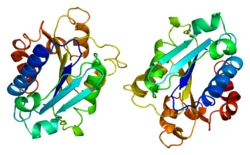 Integrin alpha-M