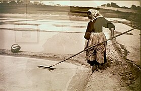 Marais salants de Billiers (Morbihan) (début XXe siècle, Musée de Bretagne, Rennes).