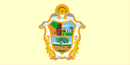 Bandeira da cidade de Manaus