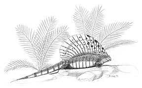 Edaphosaurus cruciger.