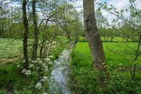 Doorkijkje door het landschap