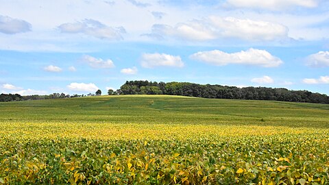 50. Charles Mound in Illinois