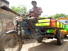 Motorised meen body vandi