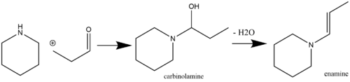 Enamine synthesis with a carbinolamine intermediate.