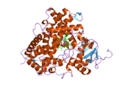 2hi4: Crystal Structure of Human Microsomal P450 1A2 in complex with alpha-naphthoflavone