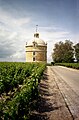 Wijngaard in Pauillac