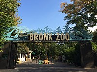 Bronx Zoo