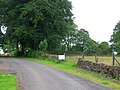 Nettlehirst old estate wall and trees.