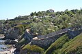 Sentier du Racou entre Argelès-sur-Mer et Collioure (17 août 2014)