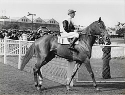 Yaralla, 1942 winner