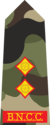 Lieutenant