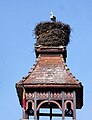 Cigogne sur le toit de la mairie