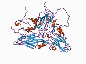 Capa de proteína do Vírus causador da Febre Aftosa