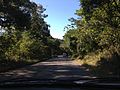 Saltinho Biological Reserve, in the coastal forest