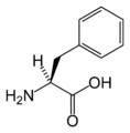 L-Fenilalanina (Phe / F)