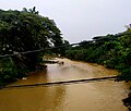 Sungai Linggi berhampiran Mambau