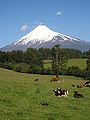 Sopka Osorno