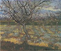 Apricot Trees in Blossom April 1888 Private collection (F556)