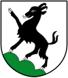 Wappen von Kitzbühel