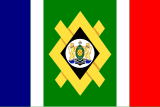 Bandera di Johannesburg