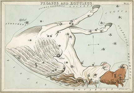 Tarjeta 15: Pegasus y Equuleus