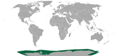 Área de distribuição da foca-de-Ross