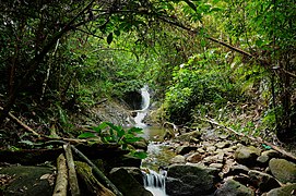 布鲁木山（英语：Mount Belumut）瀑布