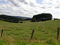 Vue de la vallée d'Auby