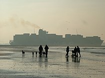 Strand met containerschip