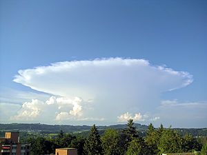 Chmura burzowa (Cumulonimbus capillatus), z kowadłem (incus) rozbudowanym poziomo