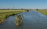 De Linge bij Gendt