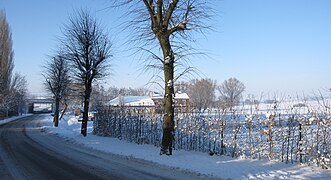 Dottignies sous la neige.