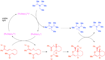 Diagram of Photocatalytic bis-enone hetero-Diels–Alder reaction