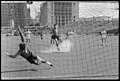 Finale de la Coupe de France de football Rennes Lyon - Musée de Bretagne