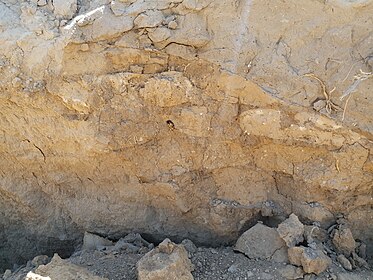 A picture of the remains of the walls of a Canaanite village.