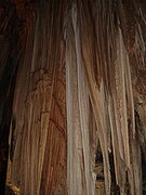 Stalactites formed inside the cave